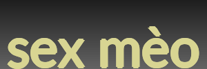 sex mèo
